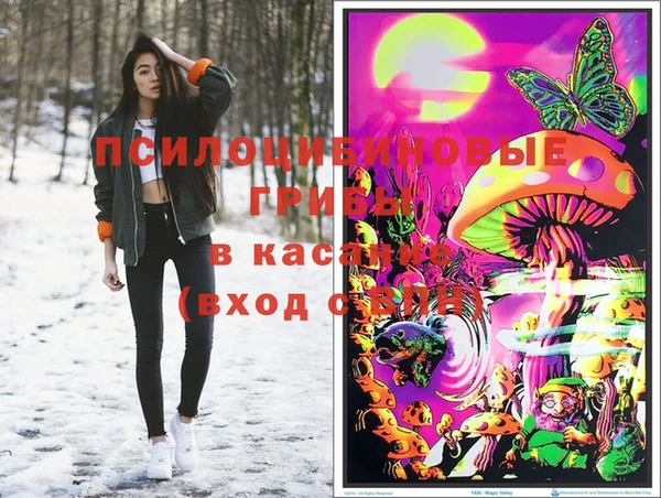 ГАЛЛЮЦИНОГЕННЫЕ ГРИБЫ Навашино