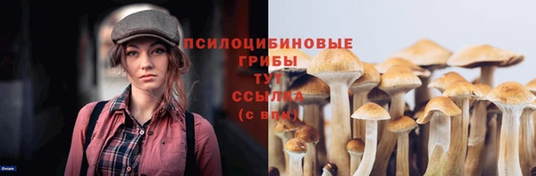 крисы Наволоки