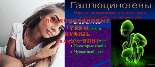 крисы Наволоки
