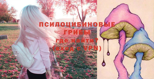 apvp Михайлов